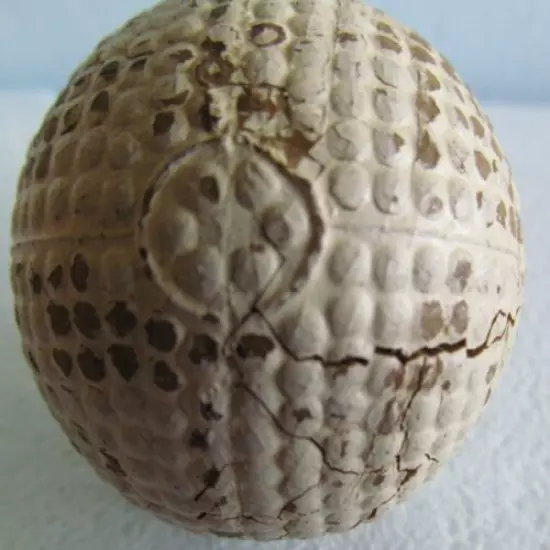 WHITE COLONEL BRAMBLE GOLF BALL WITH CIRCLES AT ALL 6 POLES AND LINES CONNECTING