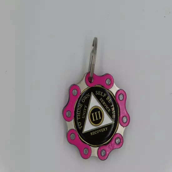 Pink AA Key Chain Chip Holder Keyring Gift Alcoholics Anonymous Al-Anon Women's