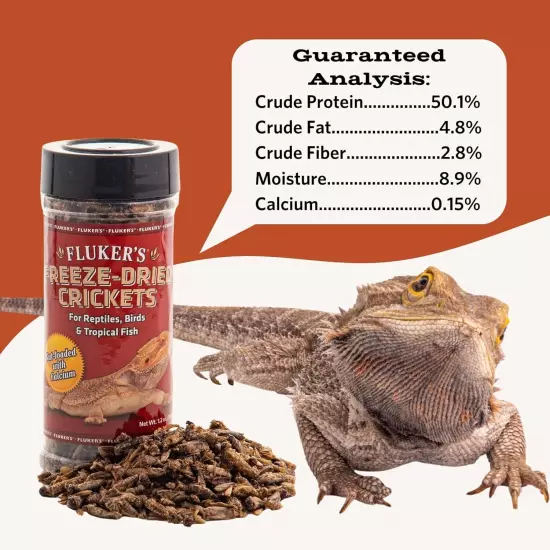 Dried Crickets for Reptiles, Birds, Fish, Hedgehogs, and Sugar Gliders 1.2 ounce