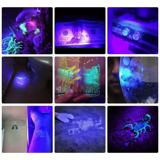 UV Ultraviolet Light Flashlight Black Light 365nm Inspection Lamp Torch IP65