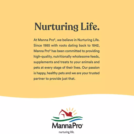 Manna Pro All Flock Crumbles | 16% Protein Level | Complete Feed for Chickens, D