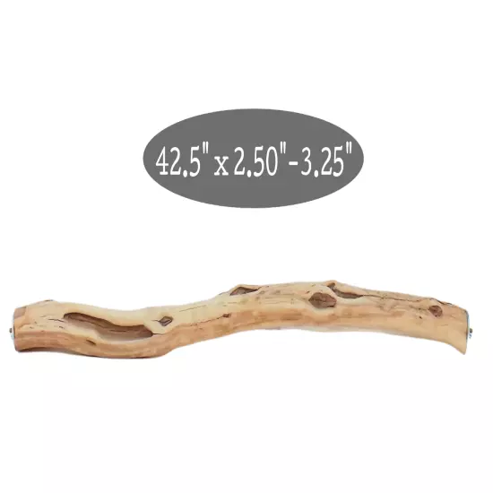 Sanded Manzanita Parrot Perch, 42.5", Diam 2.5" - 3.25"