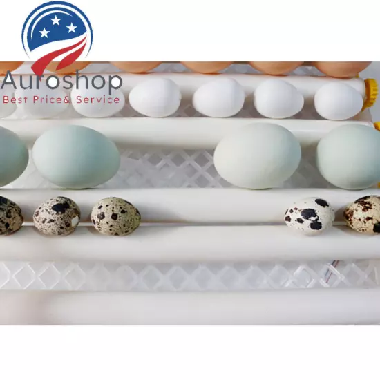 16 Eggs Fully Automatic Hatcher for Hatching Chicken Goose Egg Incubator 30W