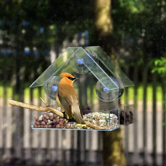 Clear Glass Window Hanging Bird Feeder House Table Seed Peanut Hotel Suction