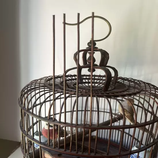 Vintage Chinese Bamboo Song Bird BirdS Cage Porcelain Feed Bowls