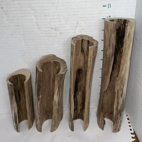 Driftwood 4 Piece Set Taxidermy Beach Lake Mountain House Wedding Reception