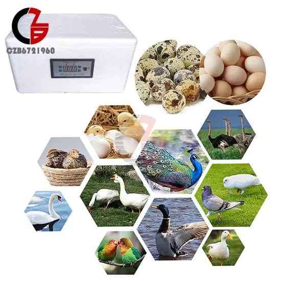 Automatic Temperature Control Egg Incubation Foam Bionic Egg Incubator Tools