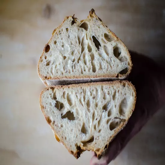 sourdough starter yeast from the "WHARF" in SAN FRANCISCO 145 YR OLD W/recipes 