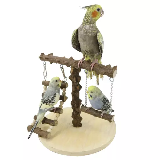 Bird Play Stand Cockatiel Playground Parrot Wood Perch Gym Toy Swing With Ladder