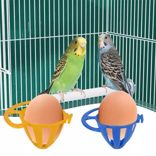 NEW 5 Pcs Bird Basket Feeder Hanging Cage Food Holder Egg Small A2H3