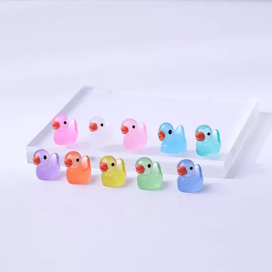 10PCS Mini Luminous Resin Ducks Glow in The Dark Miniature Ornament Tiny Duck Sn