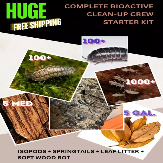 Huge Bioactive Starter Kit - Live 200+ isopods 1000+ Springtails And More