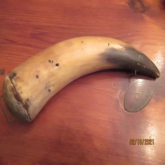 ANTIQUE BLACK POWDER HORN 10" FROM TIP TO TIP