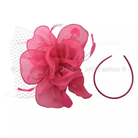 Melbourne Cup Spring Races Racing Carnival Headband Clip Hatinator Fascinator