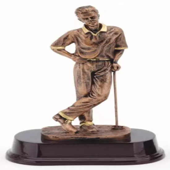 MALE GOLF RESIN TROPHY AWARD 9" TALL FREE LETTERING BRONZE SERIES M~RJ262B