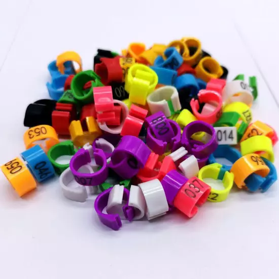 100pcs 8mm Plastic Pigeon Leg Foot Rings Bands Pigeon Bird Clip Supplies