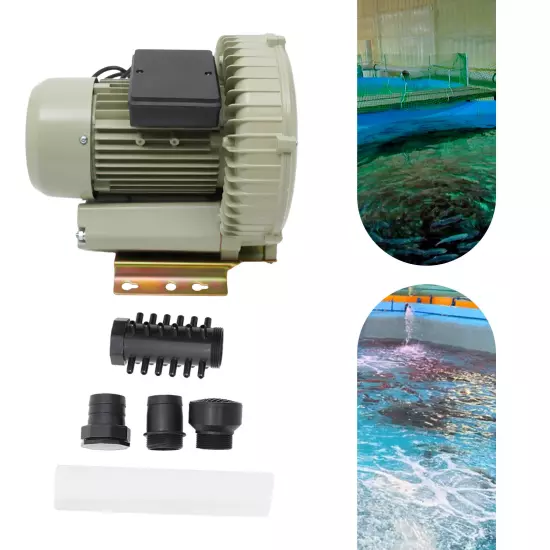 110V Industrial Fish Pond Tank Air Pump Blower Oxygen Aerator 370W 12kpa