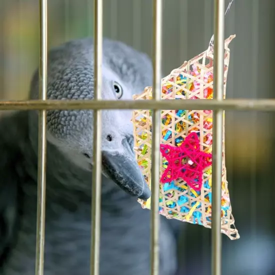 Parrot Cage Toy Crinkle Paper Chewing Foraging Toy for Small Birds