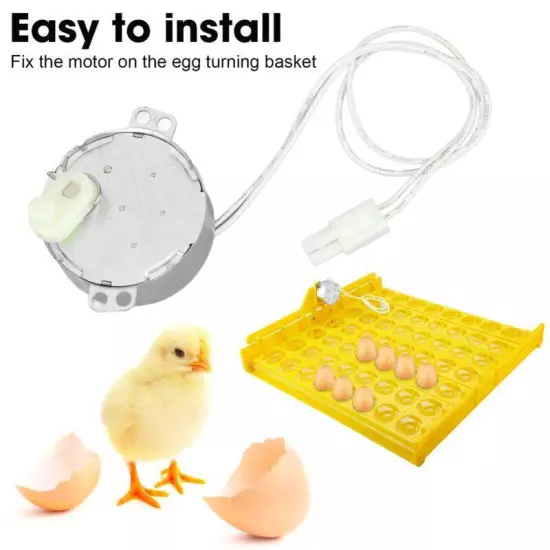 Egg Turner Motor 4W 100V to 120V Rotating Incubator Motor for Chickens