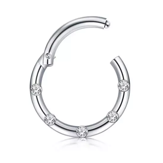 Surgical Steel Hinged Segment Hoop Ring Sleeper Lip Ear Nose Body Piercing 1PC