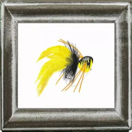 Yellow Hard Body Bass Popper Print, Bass Bug, fishermen, bass fishing, gift, 