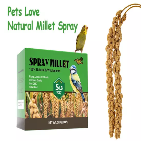 5Lbs Millet Spray for Birds, Sun Dried Spray Millet, Original Bird & Supplement