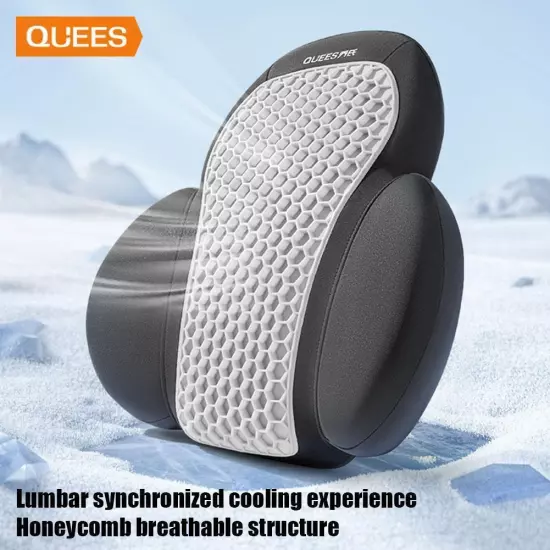 QUEES Joe's Auto Products 24 Years Honeycomb Headrest Lumbar √φ Support C1W9