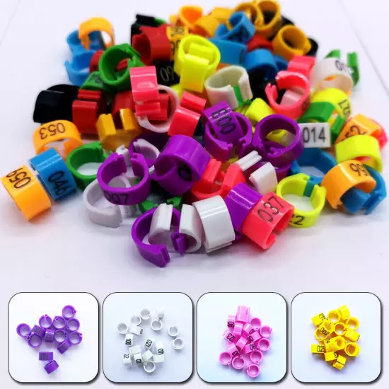 100pcs Plastic Bird Dove Pigeon Parrot Bird Clip Leg Rings Pet Supplies