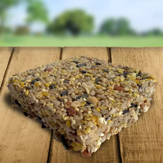 Woodpecker Suet Treat Bars Wild Birds No Mess Food Woodpeckers Cardinals Feed