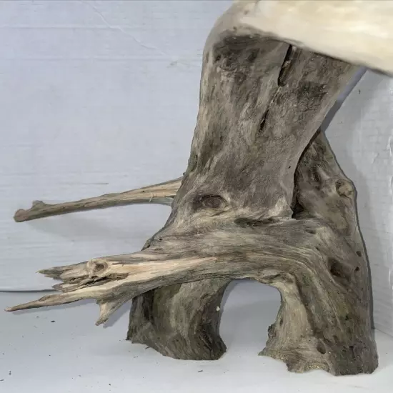 Driftwood Taxidermy Beach Lake Mountain House Wedding Reception Centerpiece