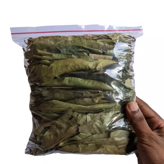 Premium Dried Soursop Leaves Hojas De Guanabana Graviola Leaf Bulk 50g 100% Pure