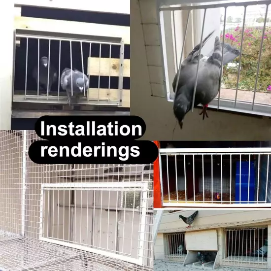 Pigeon Loft Door Pigeon Entrance Door Trap Door Pigeon House Door Racing Supplie