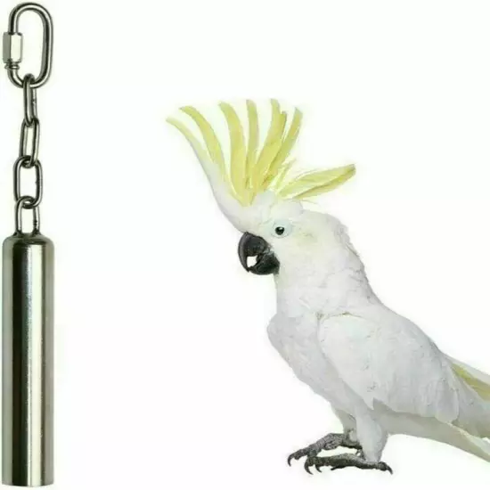 2 Stainless Steel Large Bell Bird Toys Chew Toy for Parrot, Macaw, African Grey