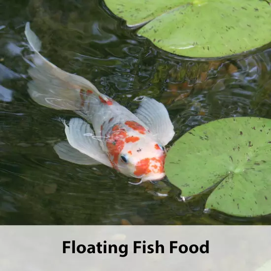 Koi'S Choice Koi Floating Fish Food, 10 Pound