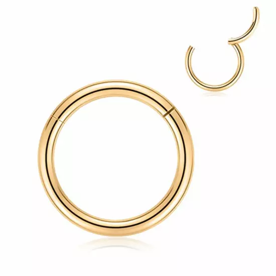 Surgical Steel Hinged Segment Hoop Ring Sleeper Lip Ear Nose Body Piercing 1PC