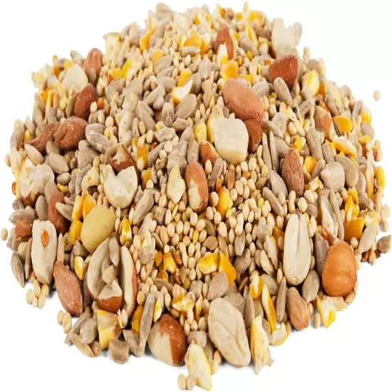 Clean & Free Shell Free Wild Bird Food, Premium No Mess Bird Seed for outside Fe