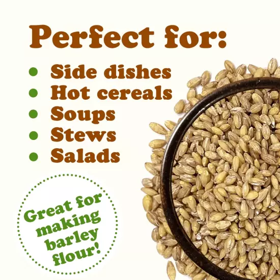 Hulled Barley Grain – 100% Whole Grain, Vegan, Great for Home Baking, Brewing