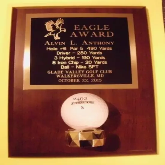 EAGLE GOLF TROPHY AWARD PLAQUE HOLDS GOLF BALL FREE ENGRAVING free ship