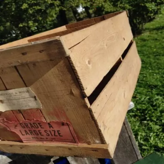 Antique Large Egg Crate from McGuigan & Boyle Hunter River PEI to St Andrews NB