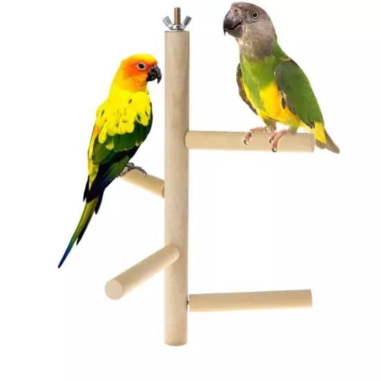 Parakeet PerchBird Natural Wood StandParrot Cage Top Wooden Branches for Stan...