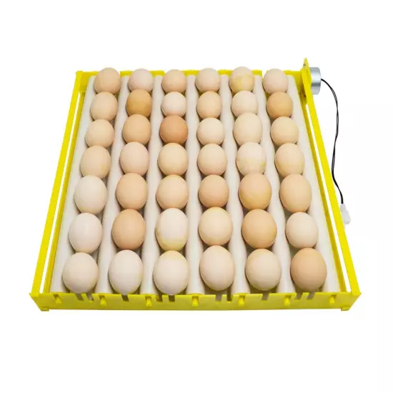 Hbtree Automatic Multifunction Incubator Egg Tray Turning Hatcher for Chickens/D