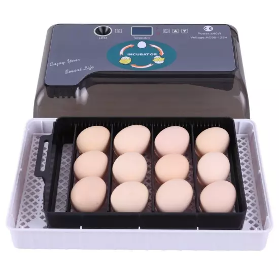 US 12-Egg Adjustable Egg Tray Practical Fully Automatic Poultry Incubator Set