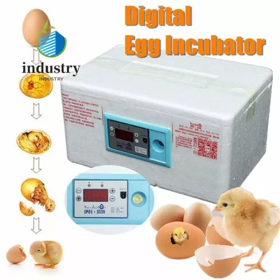 Automatic Digital Incubator Poultry Hatcher Temperature Control Brooder 20 Eggs