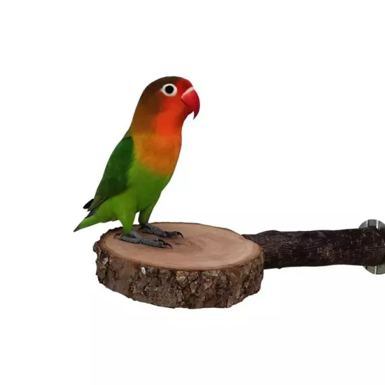 Natural Tree Wood Pet Parrot Wood Fork Tree Branch Stand Rack Squirrel7482