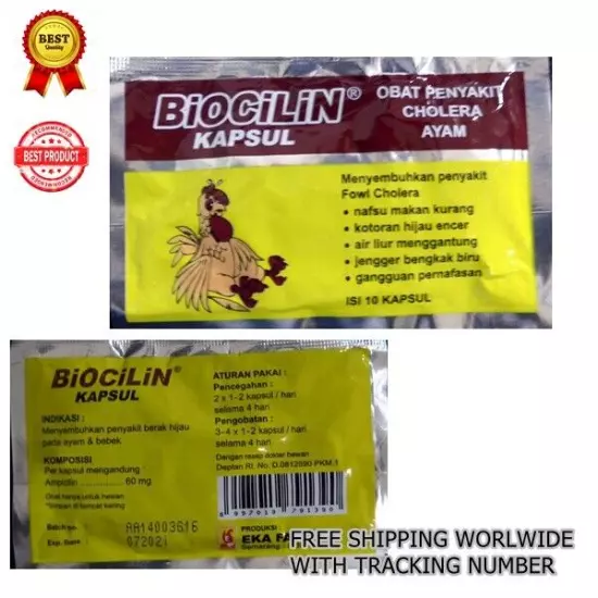 20 Capsules Biocilin for Chicken/Pigeon/Dove FOR Cholera/CRD