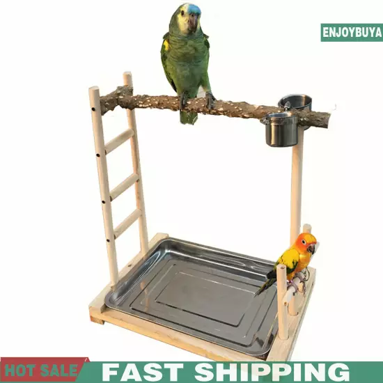 49*37*59cm Wood Bird Stand Large Parrot Perch Playstand w/Steel Tray 2*Bowl USA