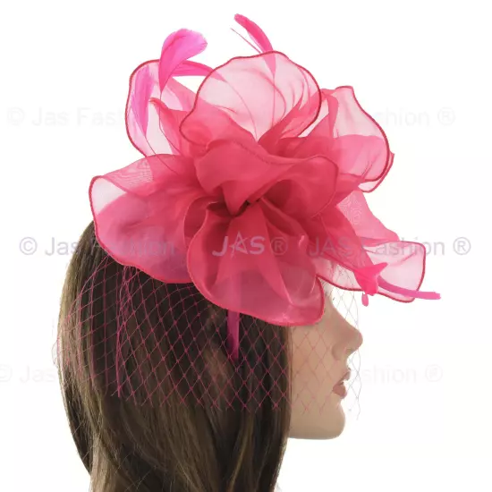 Melbourne Cup Spring Races Racing Carnival Headband Clip Hatinator Fascinator