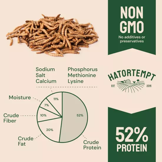 Premium Organic Non-GMO Dried Mealworms for Chickens, Wild Birds for Laying Hens