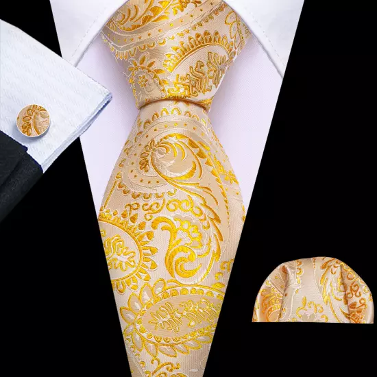 USA Mens Tie Striped Paisley Solid Paisley Necktie Hanky Cufflink Set Wedding