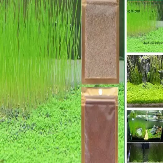 2 Pack Aquarium Grass Aquarium Water Grass Aquarium Small Leaf Grass and Long 